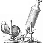 Hooke-microscope –