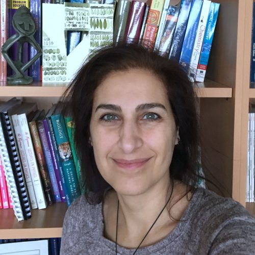 Canan Atılgan, Author at Sarkaç
