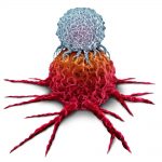 tcell-cancercell