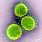 22Novel-Coronavirus-SARS-CoV-222-NIAID-March-09-2020-CC-BY-1200×1200-2