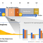 asi-gelistirme-asamalari