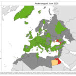 Aedes_aegypti_2025_06