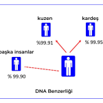 DNA benzerliği