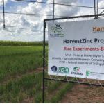 HarvestZinc2