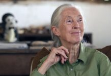 Jane Goodall İstanbul’da: Umuda dair bir gün ve bir miras