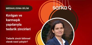 Meraklısına Bilim: Tedarik zincirleri bilimsel olarak nasıl çalışılır?