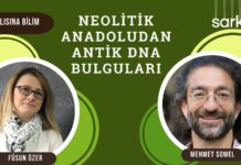 Meraklısına Bilim: Neolitik Anadolu’dan antik DNA bulguları