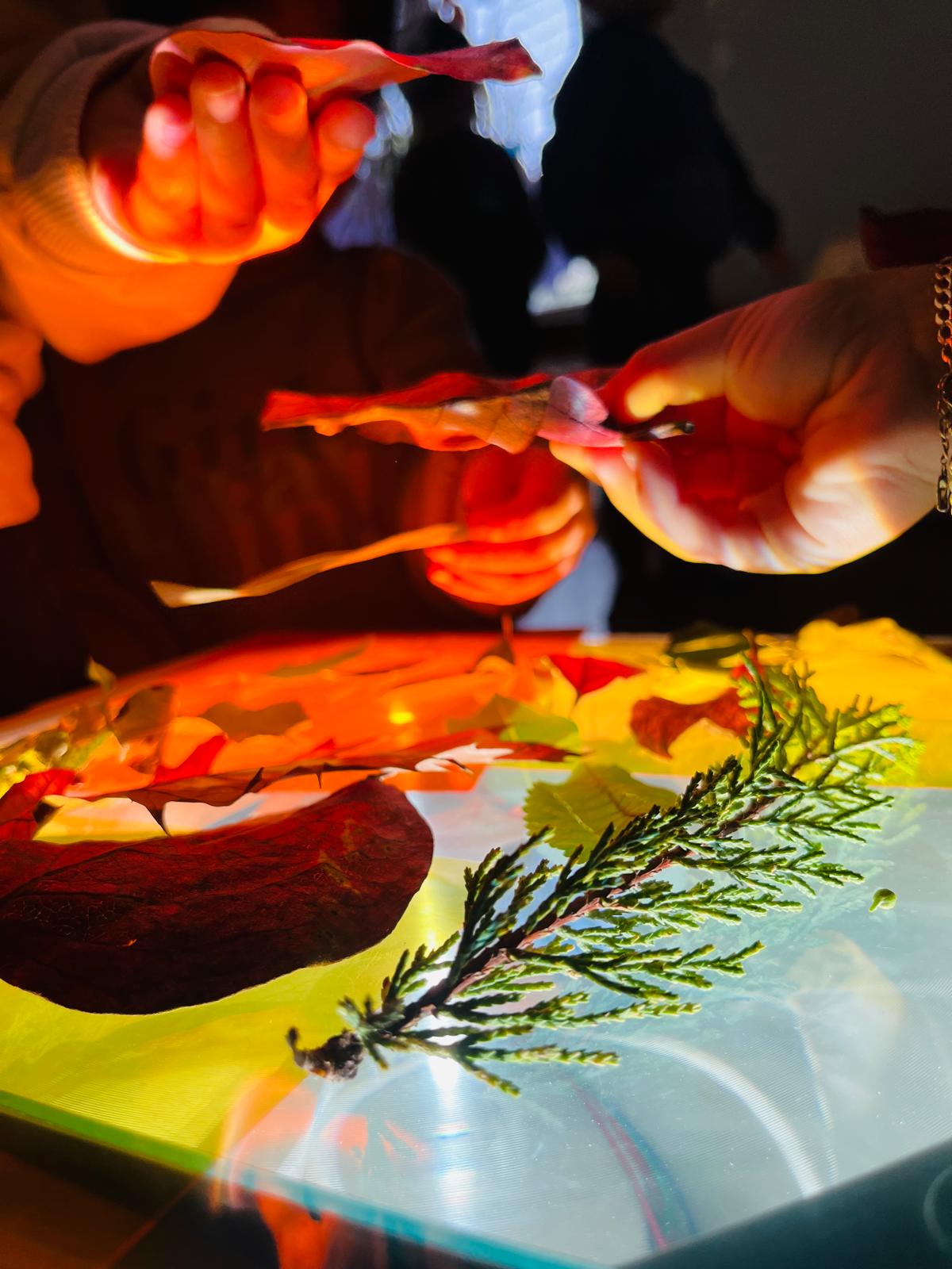 Anasınıfında bilimsel bilgi üretmeyi öğreniyorlar!