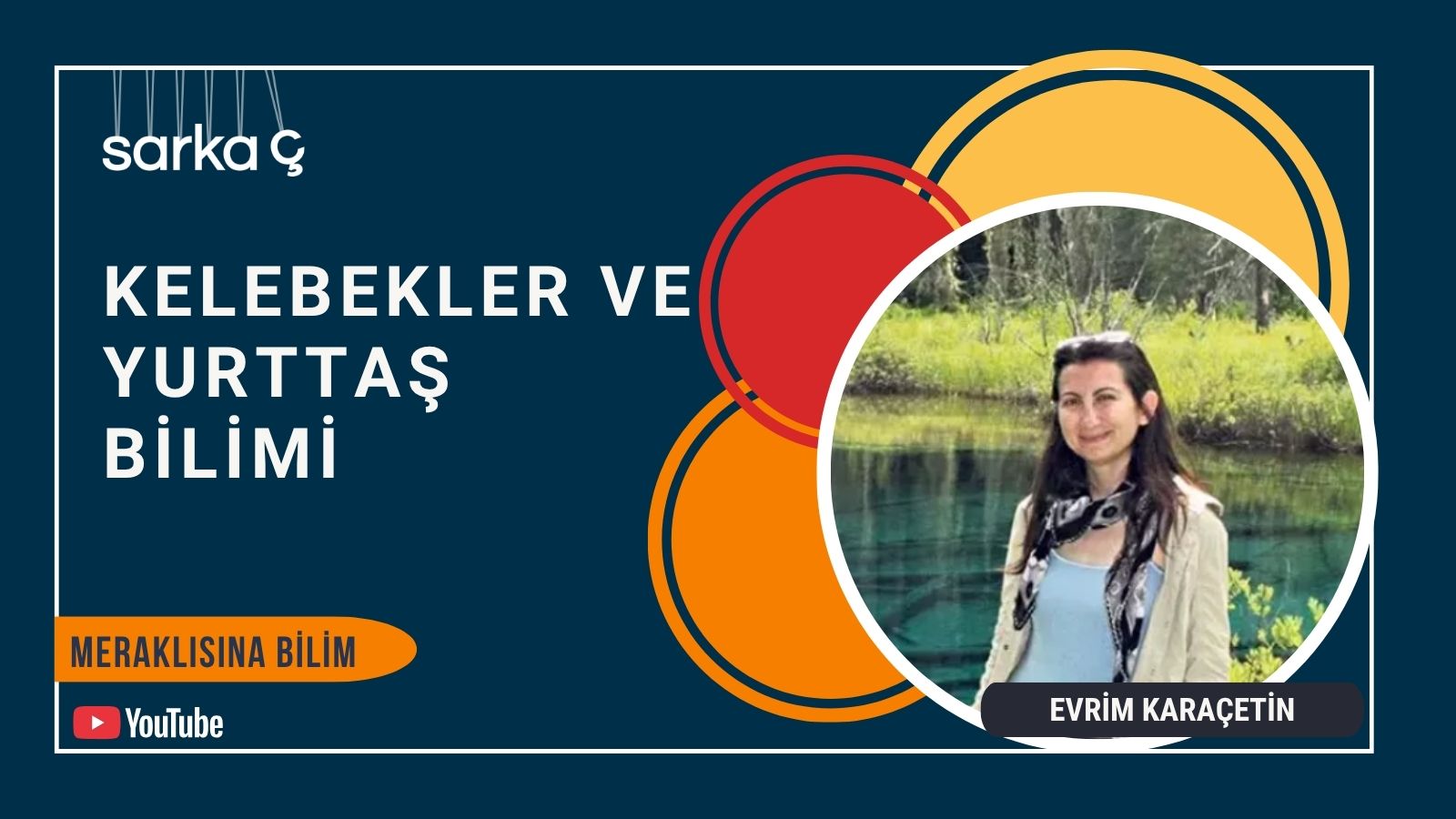 Meraklısına Bilim: Kelebekler ve Yurttaş Bilimi – Evrim Karaçetin