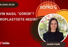 Meraklısına Bilim: Beyin nasıl “görür”, nöroplastisite nedir?